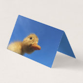 lustige Ente in blauer Karte (Rückseite)