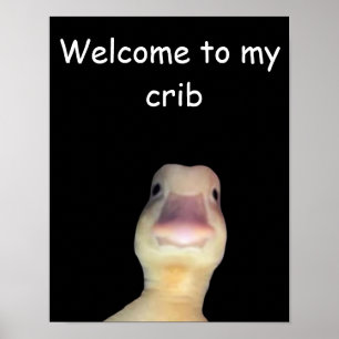Lustige Enten-Meme: Willkommen in meiner Bude Ente Poster
