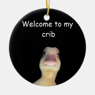 Lustige Enten-Meme – „Willkommen in meiner Bude“ S Keramik Ornament