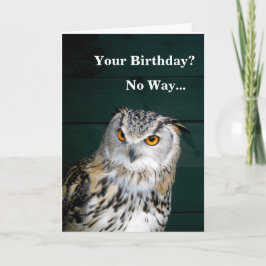 Lustige Eule Karte