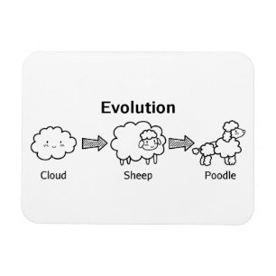 Lustige Evolution der Wolke in Schaf und Pudel Magnet