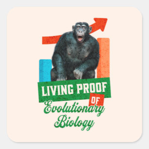 Lustige Evolutionsbiologie Schimpansen Humor Quadratischer Aufkleber