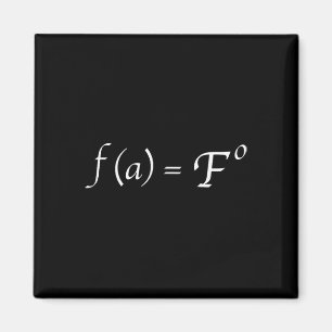 Lustige Fafo-Math-Gleichung-Novelty-Mathe-Lehrer Magnet