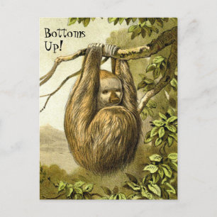 Lustige Faultier-Postkarte mit "Prost" Postkarte