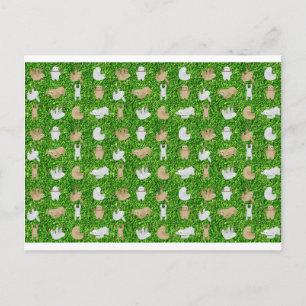 lustige Faultiere Postkarte