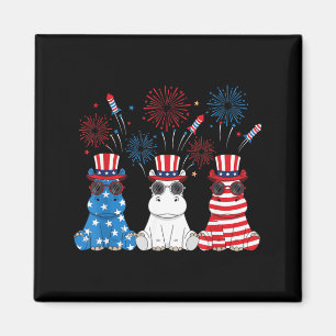Lustige Feuerwerk Hüft Amerikanische USA-Flagge 4. Magnet