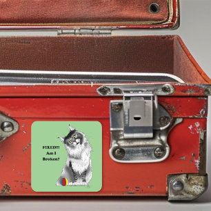 Lustige Fluffige Maine Coon Katze Grüner Humor Quadratischer Aufkleber