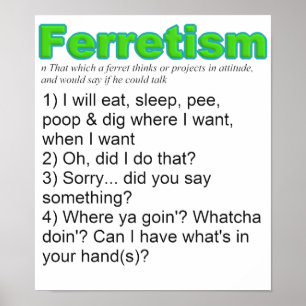 Lustige Frettchen Poster