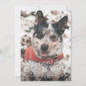 lustige Frohe Festtage Foto Feiertagskarte (Vorderseite)