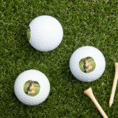 Lustige Fuchs Eichhörnchen Golfbälle (Insitu Gras)