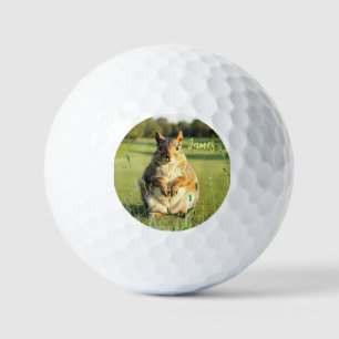 Lustige Fuchs Eichhörnchen Golfbälle