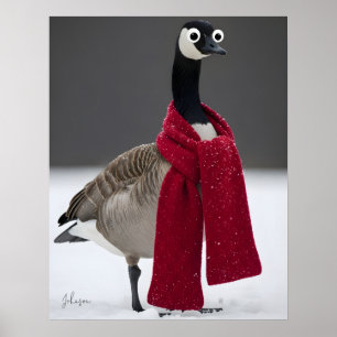 Lustige Gans mit rotem Schal Winter personalisiert Poster