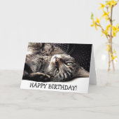 Lustige Geburtstagskarte mit Katze - bereiten Sie Karte (Gelbe Blume)