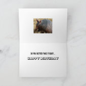 lustige Geburtstagskarte-Spaß Karte (Innenseite)