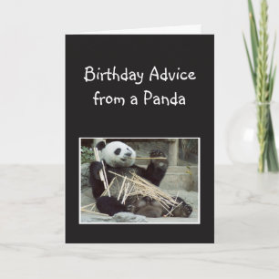 Lustige Geburtstagsratschläge vom Panda Bären Tier Karte