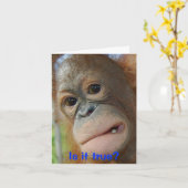 Lustige Gesichts-Abschluss-Glückwünsche Karte (Gelbe Blume)