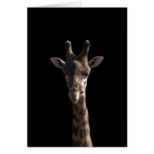 Lustige Giraffe