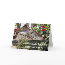 Lustige Giraffe, bereit zu Ihrem