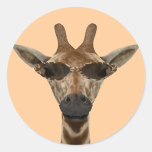 Lustige Giraffe inkognito mit trendigen Sonnenbril Runder Aufkleber