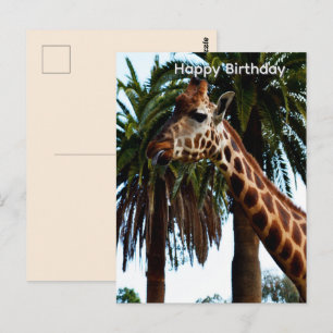 Lustige Giraffe mit Himbeergebärde auf Geburtstags Postkarte