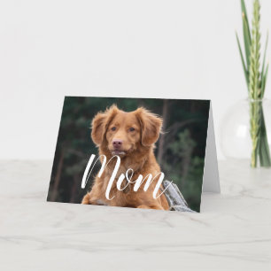 Lustige Glückwunschkarte zum Geburtstag für Hunde- Karte