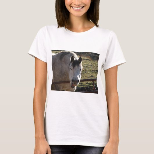 Lustige graue Stute T-Shirt (Vorderseite)