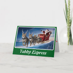 Lustige Graue Tabby-Weihnachten Karte