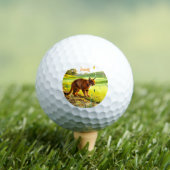 Lustige große Golfbälle für Katzen (Insitu T-Shirt)