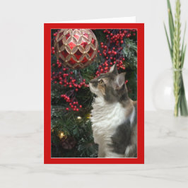 Lustige Grußkarte der Katzen-Weihnachtsverzierung Feiertagskarte