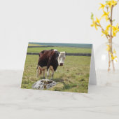 Lustige Grußkarte Karte (Gelbe Blume)