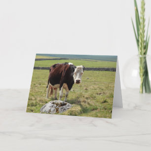 Lustige Grußkarte Karte