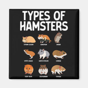 Lustige Hamster-Kunst für Männer Frauen Jungen Mäd Magnet