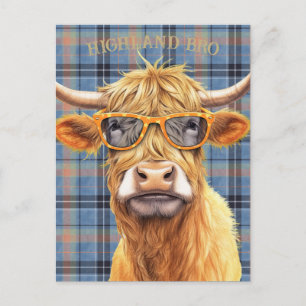 Lustige Highland-Kuh mit Sonnenbrille Postkarte