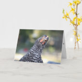 Lustige Huhn-Gruß-Karte Karte (Gelbe Blume)