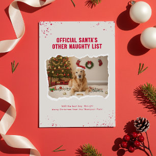 Lustige Hund-Foto-Weihnachts-Feiertag-Postkarte Postkarte