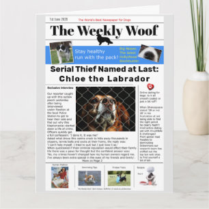 Lustige Hund-Zeitung Karte