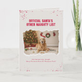 Lustige Hunde-Foto-Grüße gefaltet Karte (Vorderseite)