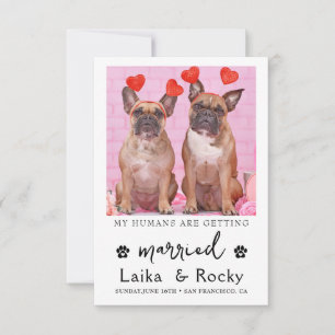 Lustige Hunde-Hochzeitseinladung Save The Date