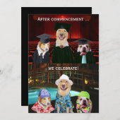 Lustige HundeAbschluss-Party Einladung (Vorne/Hinten)