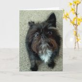 lustige Hundegeburtstags-Grußkarte Karte (Gelbe Blume)