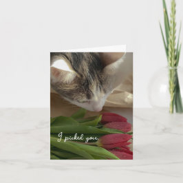 Lustige Ich liebe dich von der Katzenkarte Karte