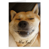 lustige japanische akita mit goofy niedlichem hund (Vorne)