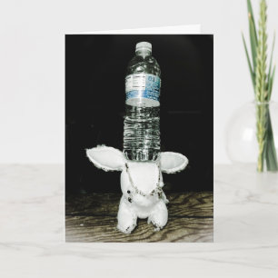 Lustige Kaninchen-Geburtstags-Karte. Seien Sie Karte