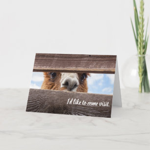 Lustige Karte, um ihnen einen Besuch abzustatten. Karte