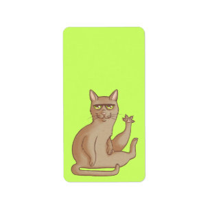 Lustige Katze Adressaufkleber