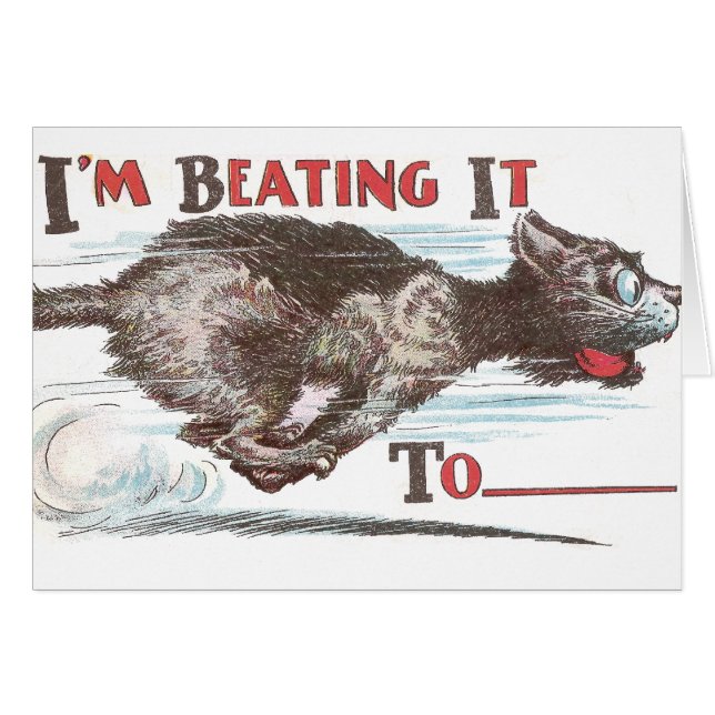 Lustige Katze auf dem Lauf (Vorderseite (Horizontal))