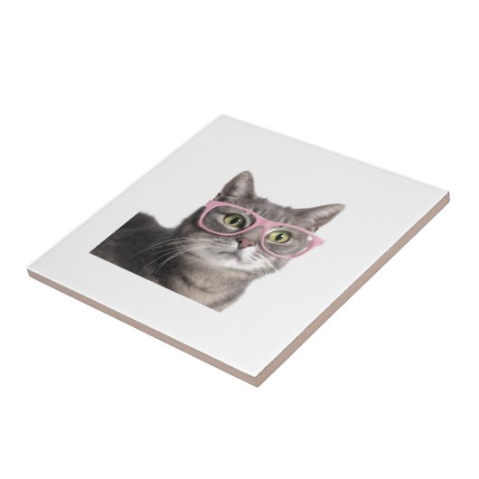 Lustige Katze Fliese (Seite)