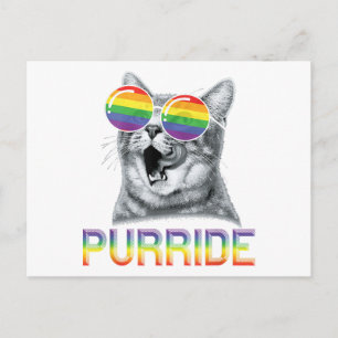 Lustige Katze Gay Pride Regenbogen Sonnenbrille LG Postkarte