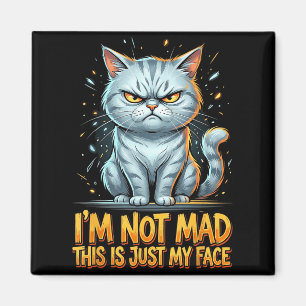 Lustige Katze Ich bin nicht wütend Das ist einfach Magnet