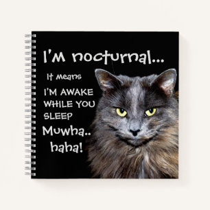 Lustige Katze ist nächtliches böses Lachen  Notizblock